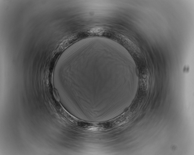 X0000099290504200805231323