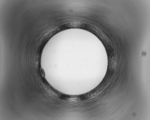 X0000099290505200805231323