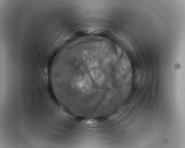 X0000099290506200805231323