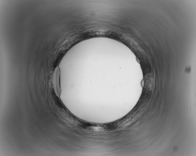 X0000099290509200805231323