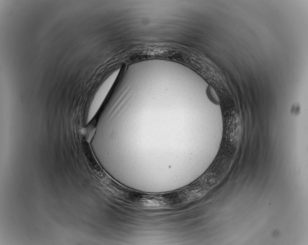 X0000099290510200805231323