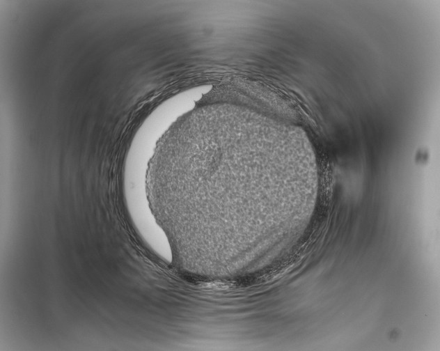 X0000099290511200805231323