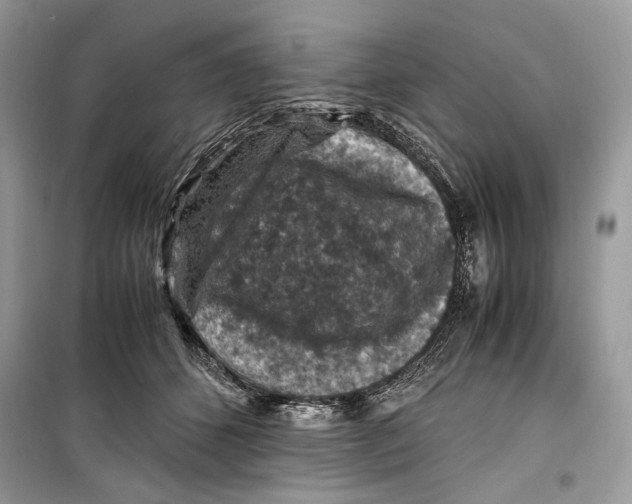 X0000099290512200805231323