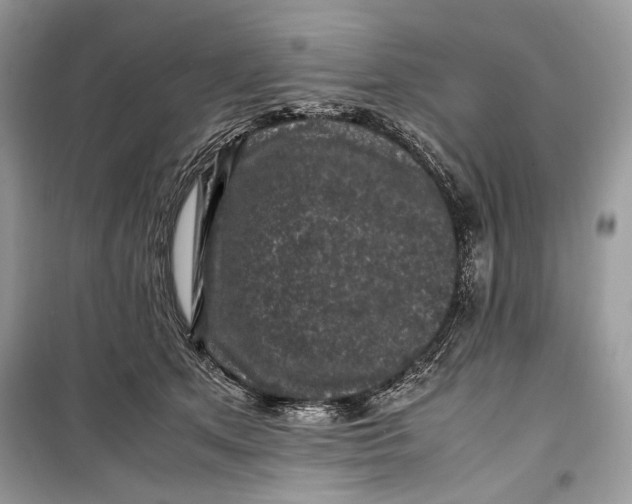 X0000099290513200805231323