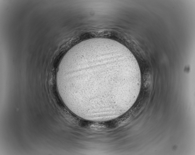 X0000099290515200805231323