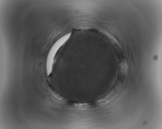 X0000099290517200805231323