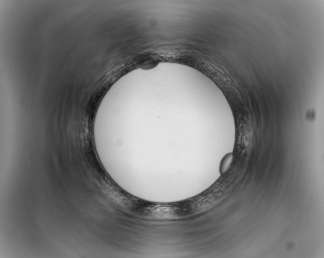 X0000099290518200805231323