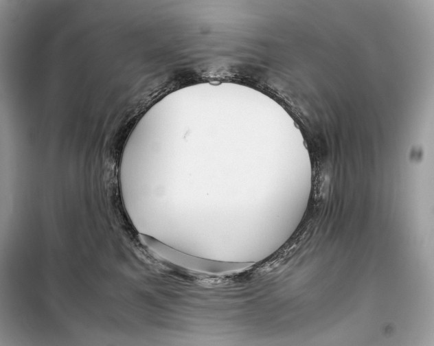 X0000099290521200805231323