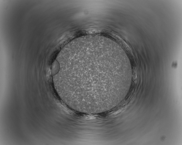 X0000099290523200805231323