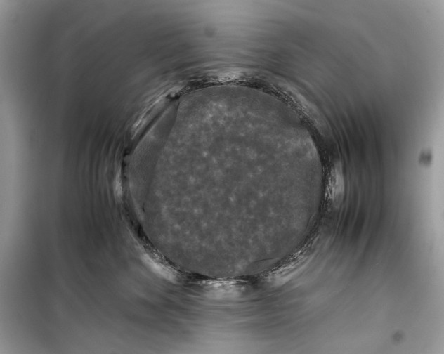 X0000099290524200805231323