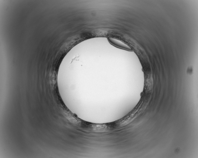 X0000099290525200805231323