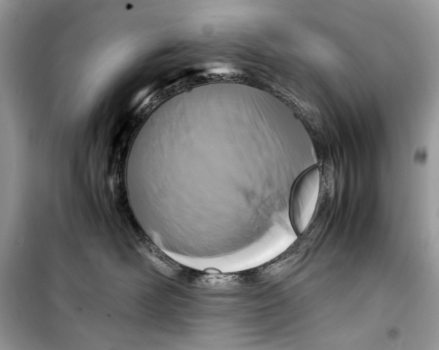 X0000099290526200805231323