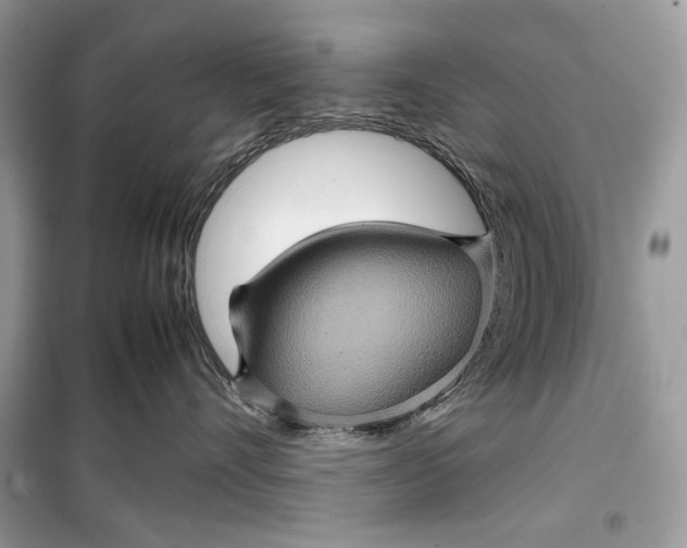 X0000099290528200805231323