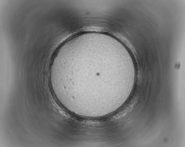 X0000099290529200805231323