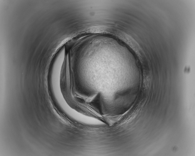 X0000099290530200805231323