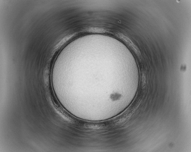 X0000099290533200805231323