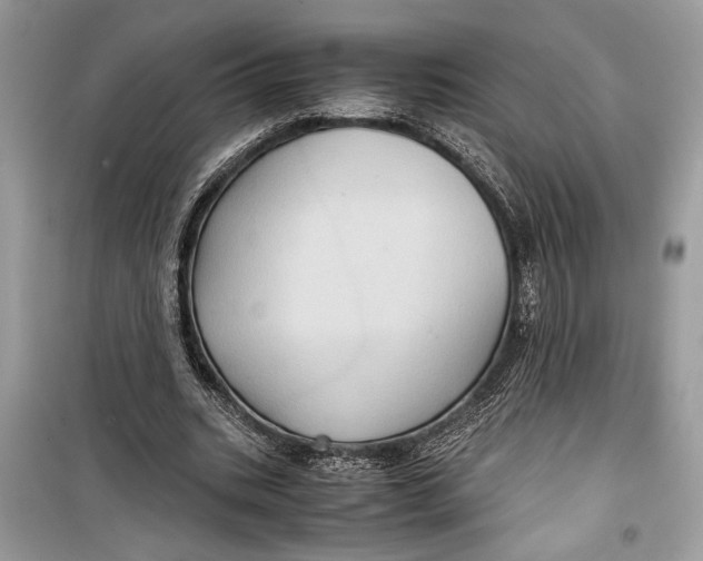 X0000099290535200805231323