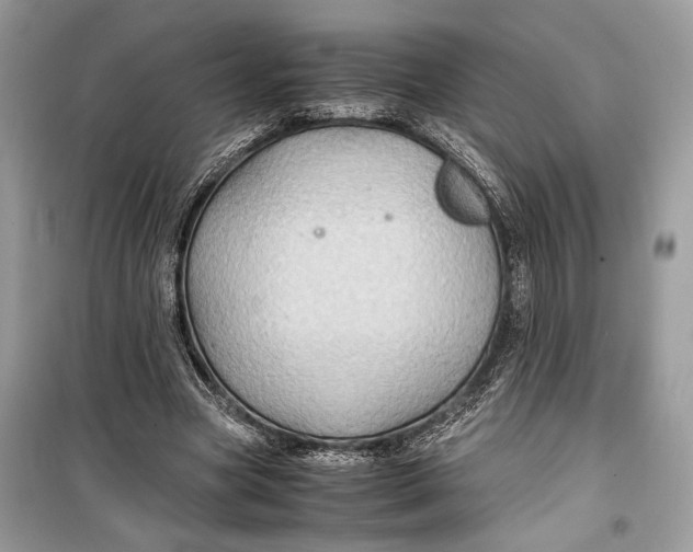 X0000099290537200805231323