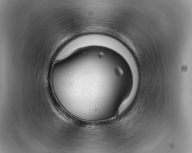 X0000099290538200805231323