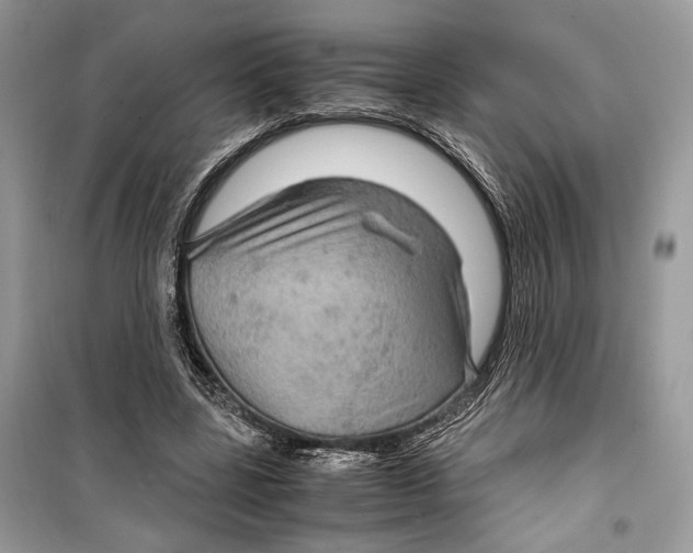 X0000099290539200805231323