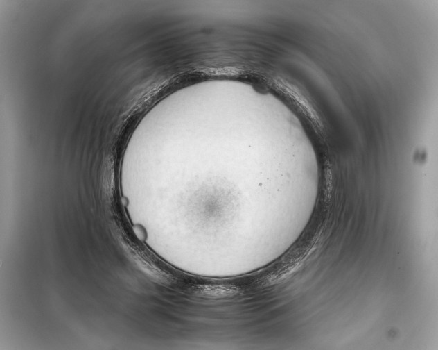 X0000099290541200805231323