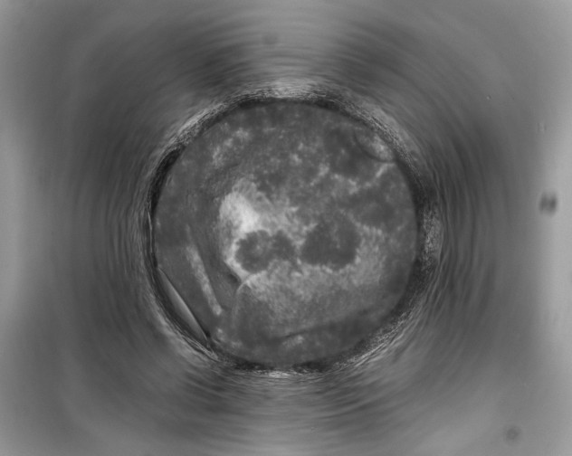 X0000099290542200805231323