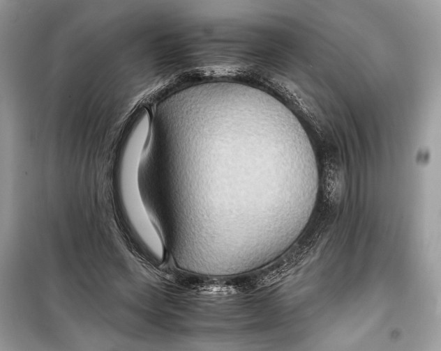 X0000099290543200805231323