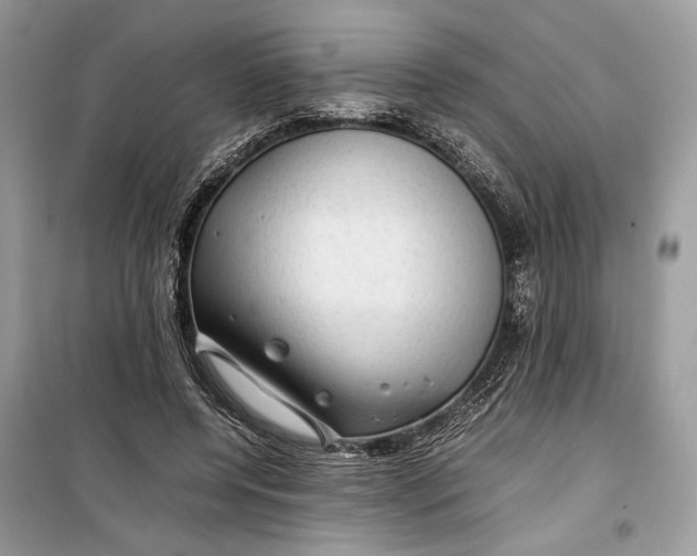 X0000099290544200805231323