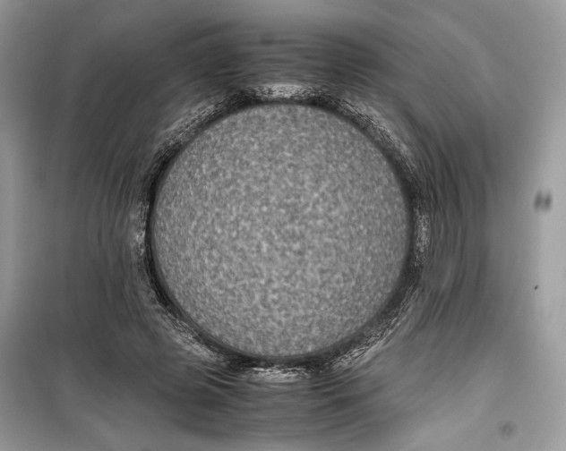 X0000099290545200805231323