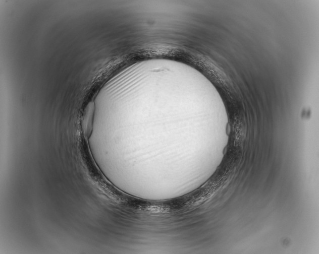 X0000099290546200805231323