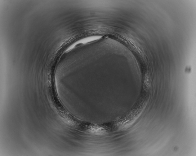 X0000099290547200805231323