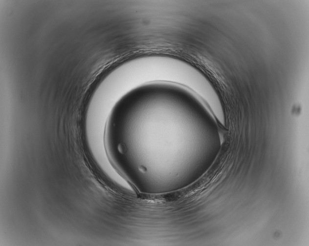 X0000099290548200805231323