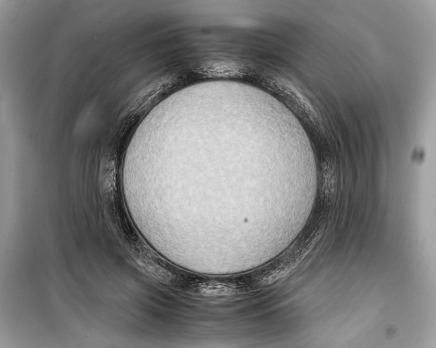 X0000099290549200805231323