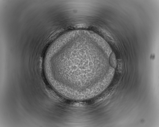 X0000099290550200805231323