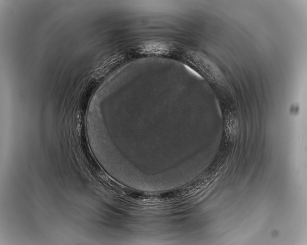 X0000099290551200805231323