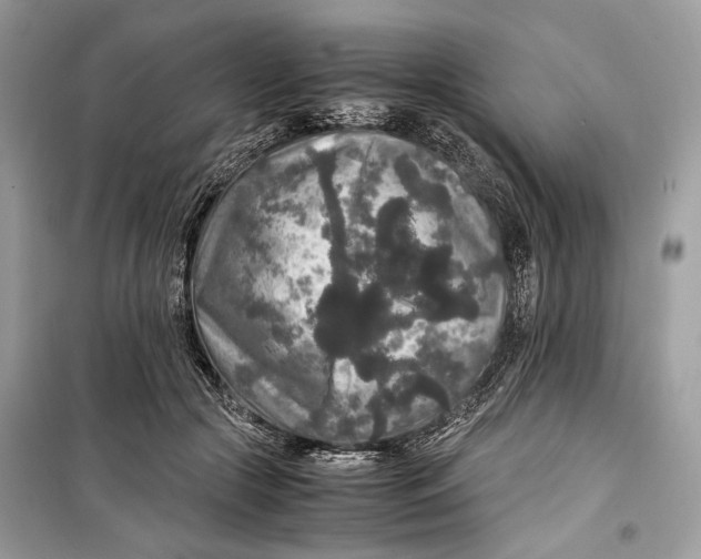 X0000099290553200805231323