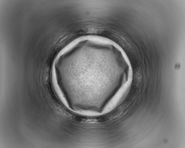 X0000099290554200805231323