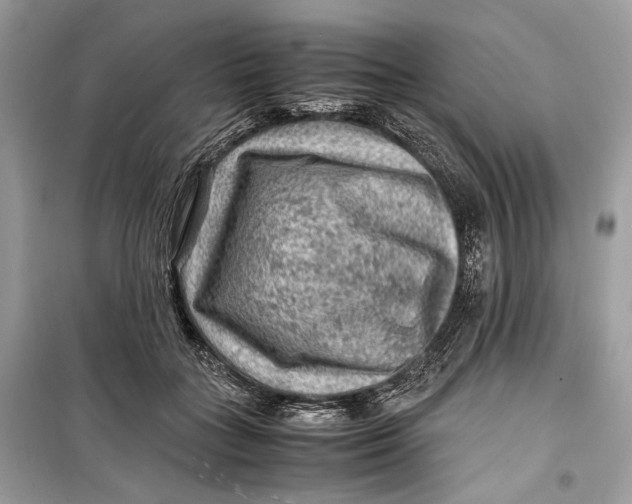 X0000099290555200805231323