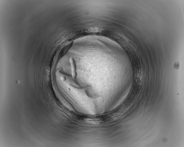 X0000099290556200805231323