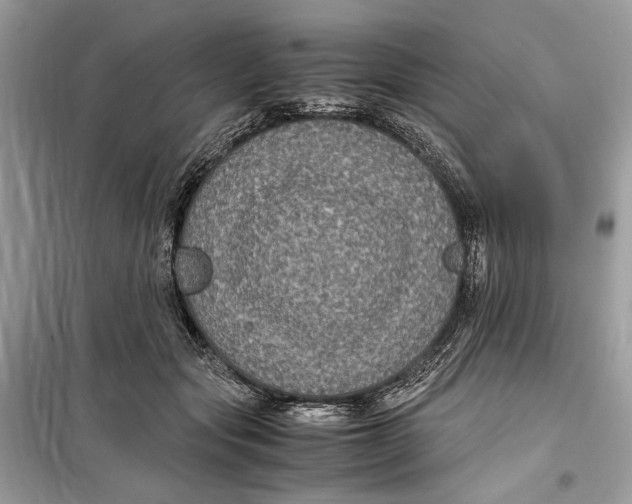 X0000099290557200805231323