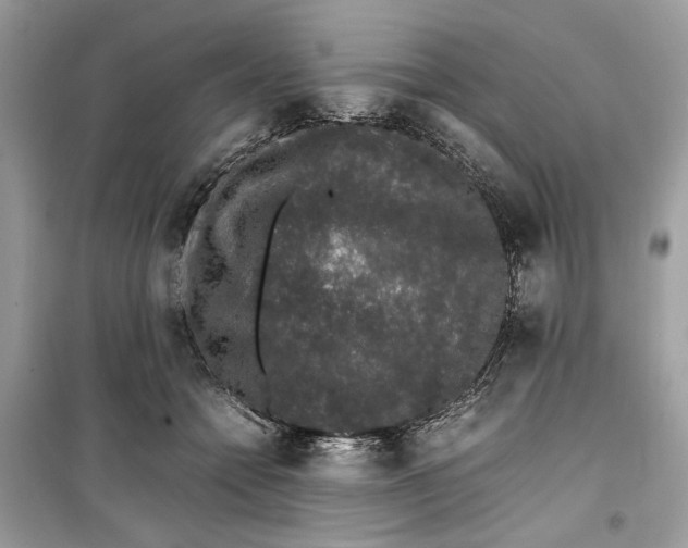 X0000099290558200805231323