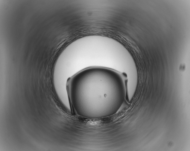 X0000099290560200805231323