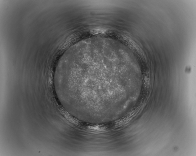 X0000099290561200805231323