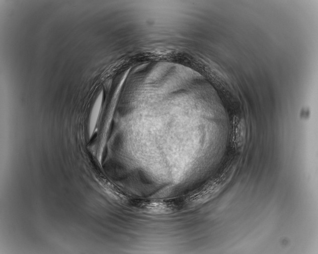 X0000099290562200805231323