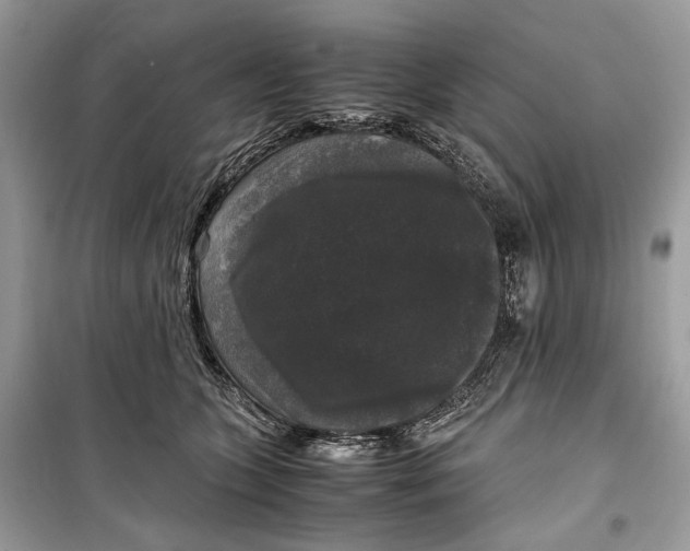 X0000099290563200805231323