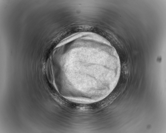 X0000099290564200805231323