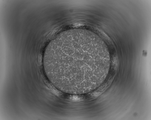 X0000099290565200805231323