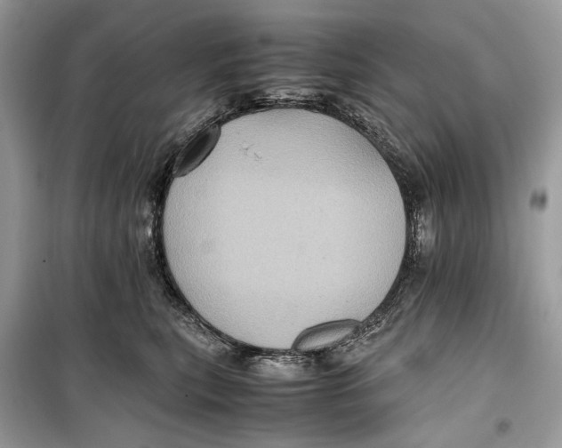 X0000099290567200805231323