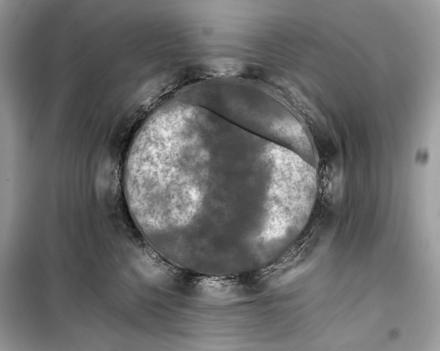 X0000099290568200805231323