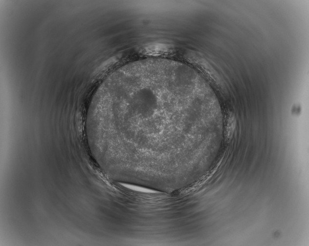 X0000099290569200805231323